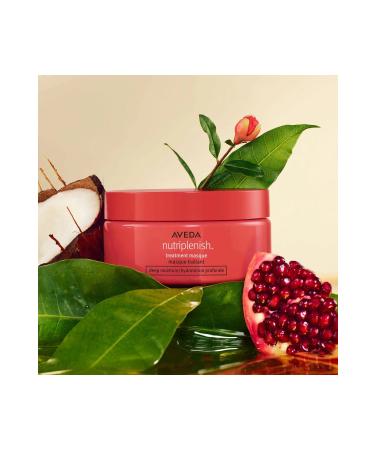 Aveda Nutriplenish Treatment Masque For Dry Hair 200ml