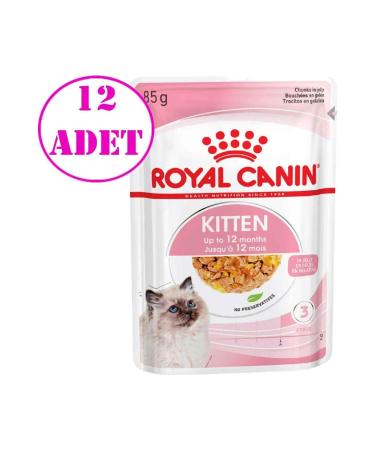 Royal Canin Jelly Kitten Canned Food 85 Gr 12 Pieces
