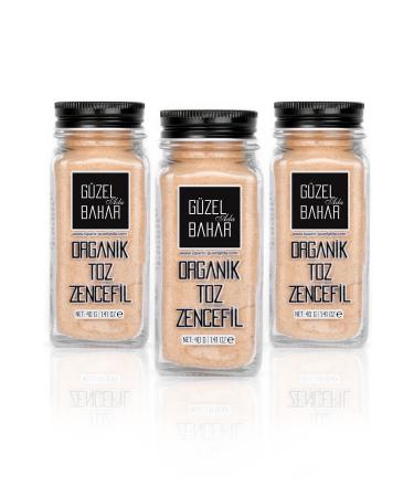 G zel Ada G da Organic Ginger Powder 40 Gr X 3