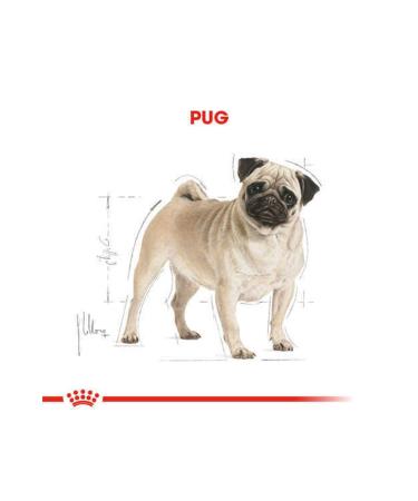 Royal Canin Pug Adult Dog Food 1.5 Kg - Farmapets