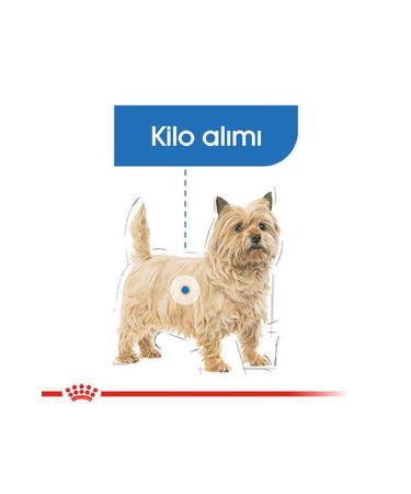 Royal Canin Mini Light Care Diet Adult Dog Food 3 Kg