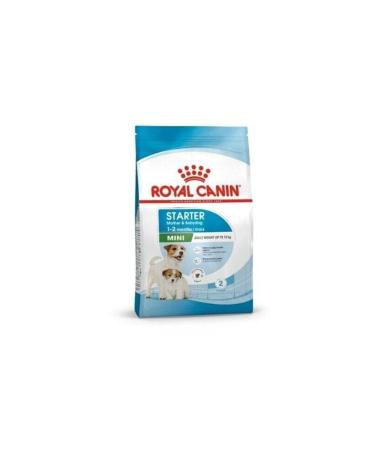 Royal Canin Mini Starter Puppy Food 4 Kg