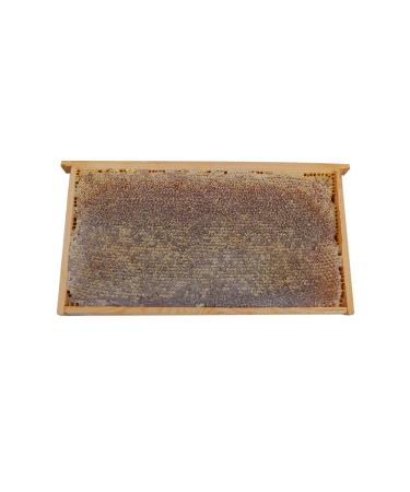 Poniba Organic Pure Karakovan Honeycomb Honey 3kg - Buy Online on GoSupps.com