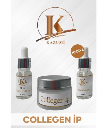 Loreen Kazumi Collegen IP Protocol