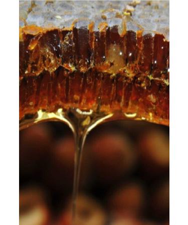 OZMU BAL Sivas Organic Karakovan Honey 2.5-3kg - Buy Online on GoSupps.com