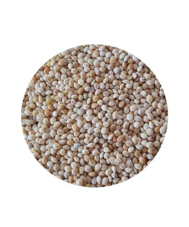 FLUFFY BIRD WORLD Plain Millet Bird Food 10 Kg (SPECIAL VACUUM PACKAGING) (1 KG X 10 PACKS)