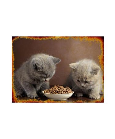 Dreamies Cat Reward Food Salmon 60 gr 12 Pieces - Buy Online on GoSupps.com