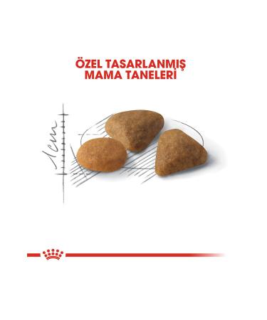 Royal Canin Exigent Cat Food - 4 Kg - Buy Online on GoSupps.com