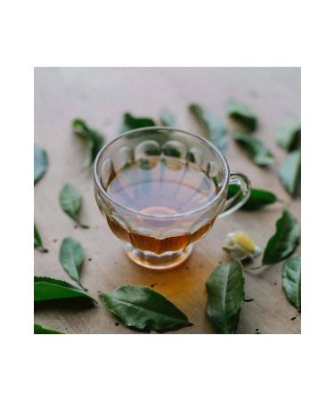 LAZIKA (SET OF 3) Green Blend-Green Tea - Jasmine-Cinnamon Pyramid Bag - Buy Online on GoSupps.com