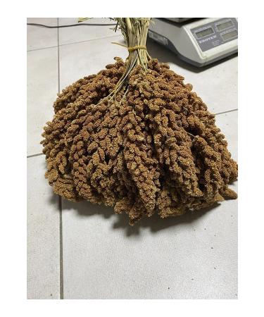 mezbi Natural Dal Millet Specially Prepared 500 Gr