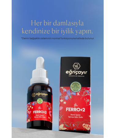 E ri ay r Ferro+2 Iron Containing Supplementary Food - Buy Online on GoSupps.com