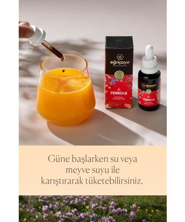 E ri ay r Ferro+2 Iron Containing Supplementary Food - Buy Online on GoSupps.com