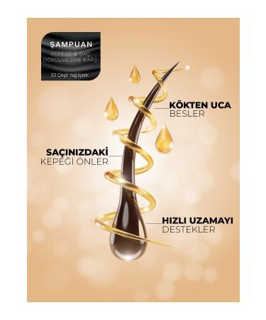 ka&g hair care Favorite Hair Duo | Hair Care Oil and Anti-Dandruff Shampoo - Buy Online on GoSupps.com