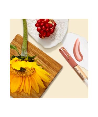 Jane Iredale Permanent Double-Sided Lipstick - Lip Fixations Lip Stain Craving 6 ml 670959241016 - Buy Online on GoSupps.com