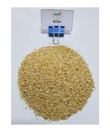 Bereketlimama White Millet - Budgie Food - 10 Kilograms
