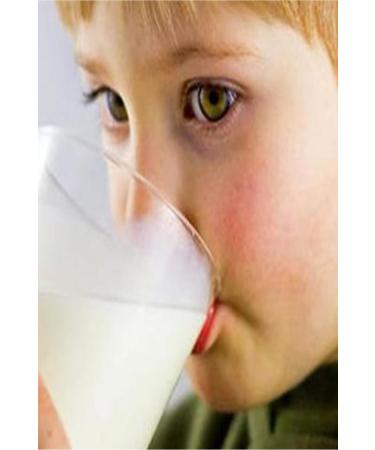 Nestle Nido Milk Powder 400 gr - Buy Online on GoSupps.com