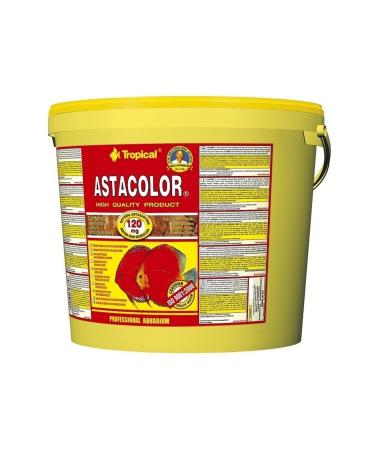 Tropical Asta Color Flakes Bucket 2000 GR