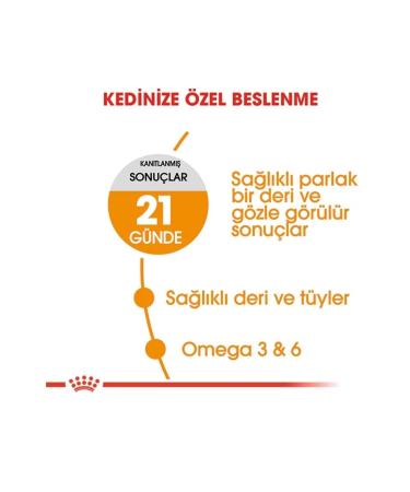 Royal Canin Hair & Skin Sensitive Cat Food 2kg Adult Cat Food - Buy Online on GoSupps.com