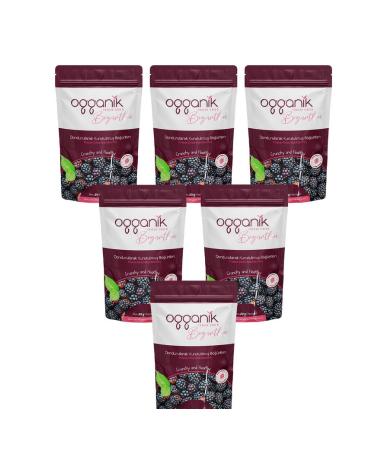 ogganik 6 Pack Freeze Dried Blackberry Chips - Freeze Dried Blackberry 6x20gr