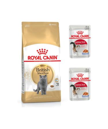 Royal Canin Adult British Shorthair Cat Food 2 Kg + Instinctive Gel Wet Cat Food 2 Pieces