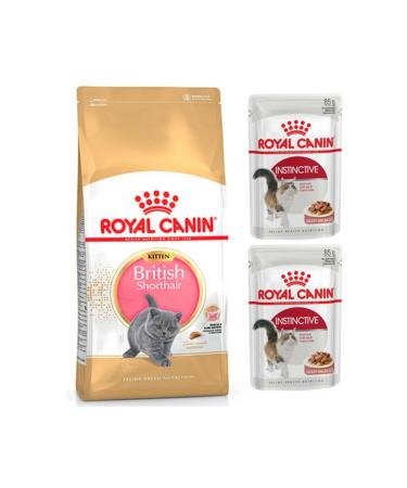 Royal Canin Proplan British Shorthair Kitten Kitten Cat Food 2 Kg + Piece Meat Wet Food 2 Pieces (original)