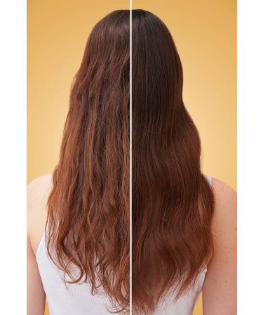 Garnier Honey Essence Repair Shampoo 370ml - Buy Online on GoSupps.com