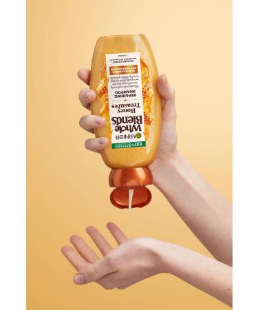Garnier Honey Essence Repair Shampoo 370ml - Buy Online on GoSupps.com