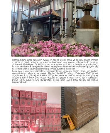 Lavendrose Natural Rose Shampoo Repairing Anti-dandruff Volumizing Plumping Rose Shampoo 300 ml - Buy Online on GoSupps.com