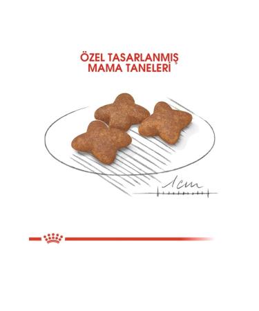 Royal Canin Small Breed Adult Dry Dog Food 2 Kg Mini Adult Dog Food - Buy Online on GoSupps.com