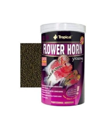 Tropical Flower Horn Young 500 GR