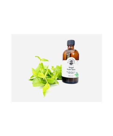 MelKa Natural Natural Mint Water
