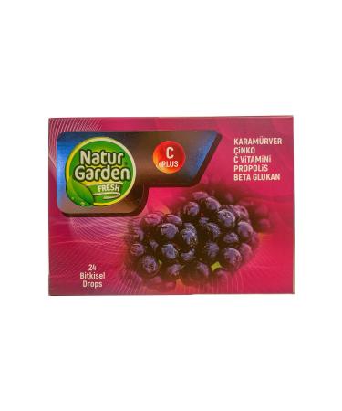 Natur Garden Black Elderberry Zinc Vitamin C Propolis Beta Glucan 24 Herbal Drops