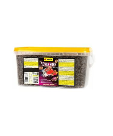 Tropical Flower Horn Young 1.14 KG Bucket Feed