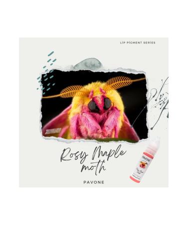 Pavone PERMANENT MAKEUP LIP PIGMENT - HYBRID LIP PIGMENT - LIP PIGMENT - Buy Online on GoSupps.com