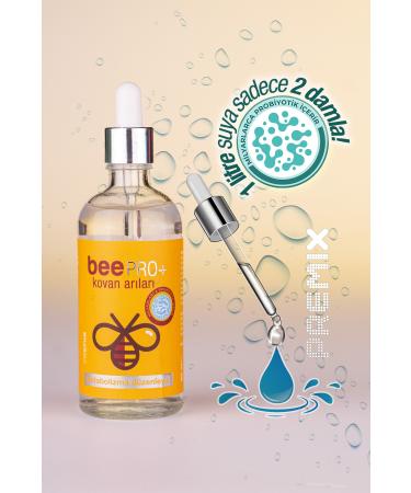 VETORIN Vetorin Bee Pro Probiotic Metabolism Regulator for Bees 100ml