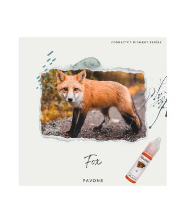 Pavone Permanent Makeup Black Lip Rescue Color - Hi bri t Lip Paint - Buy Online on GoSupps.com