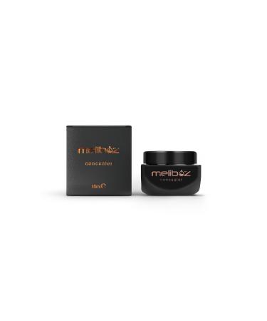 meliboz Salmon Concealer Concealer Cream 15ml Light Tone - Buy Online on GoSupps.com