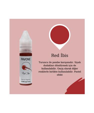 Pavone NUDE LIP PAINT - PERMANENT MAKEUP PASTEL LIP PIGMENT - Buy Online on GoSupps.com