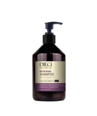 Dieci Dieci Repair Shampoo and Care 500ml