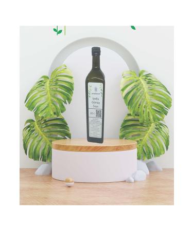 gansplasma Iodized Silver Water 1 lt