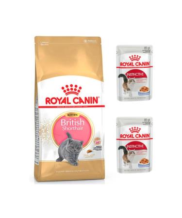 Royal Canin British Shorthair Kitten Cat Food 2 Kg + Gel Wet Food 2 Pieces (Original)