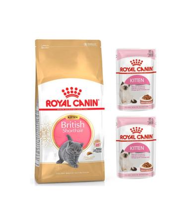 Royal Canin British Shorthair Kitten Kitten Cat Food 2 Kg + Kitten Wet Food 2 Pieces (original)