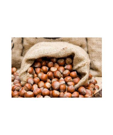 Yigit 1 KG SHELLED HAZELNUTS