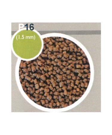 inve Orange P-16 500 GR