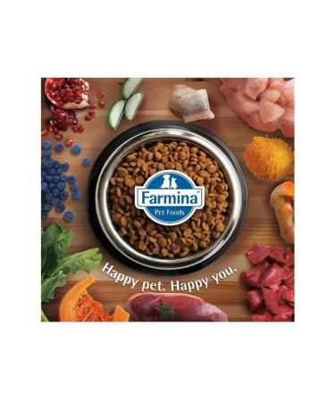 N & D Low Lamb Blueberry Medium Large Breed Puppy Food 2.5 Kg - FarmaPets - Buy Online on GoSupps.com