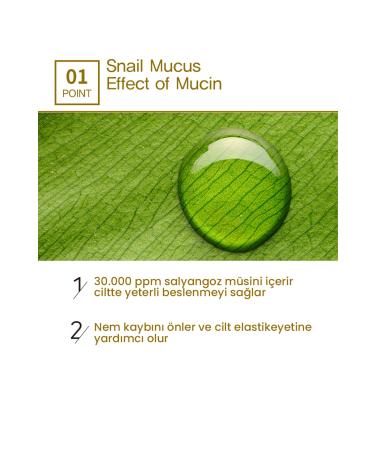 BEAUSTA Gold Snail Cream for Eye Contour and Face - Buy Online on GoSupps.com