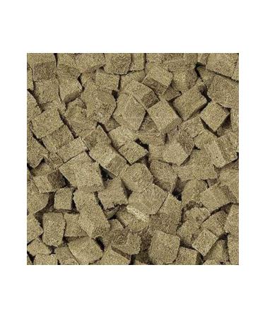 Rotifish Fd Tubifex Bucket 550gr Net