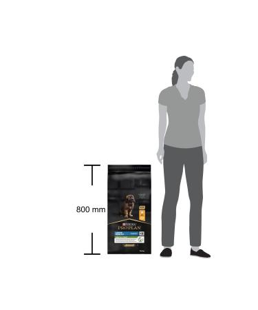 Pro Plan Pro Plan Puppy Robust Chicken Puppy Food 12 Kg - Buy Online on GoSupps.com