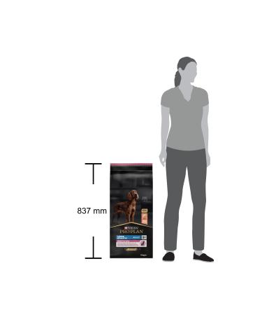 Pro Plan Large Breed Adult Dog Food with Salmon and Rice 14 kg - Buy Online on GoSupps.com