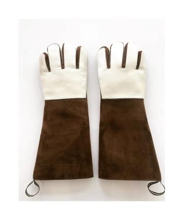 QBR Home Cat Gloves. Tooth Proof. 1 Pair - Buy Online on GoSupps.com